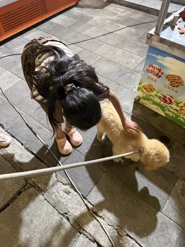 贝贝