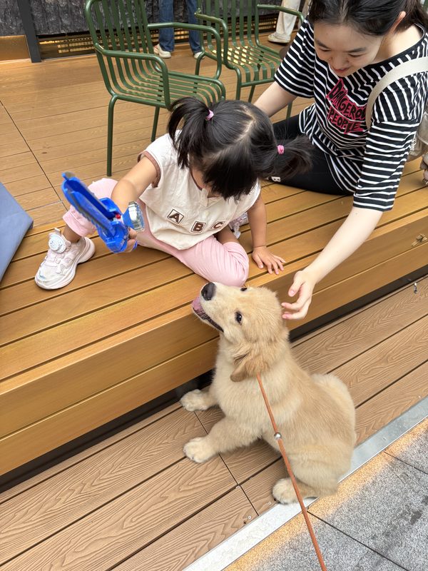 贝贝
