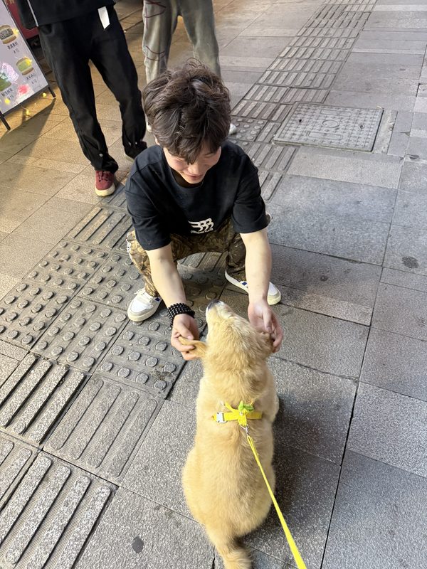 贝贝