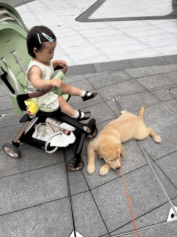 贝贝
