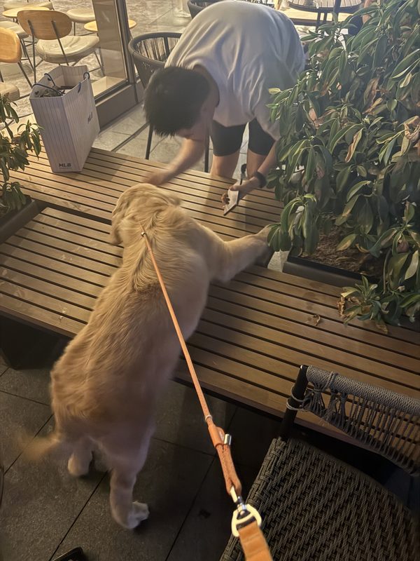 贝贝