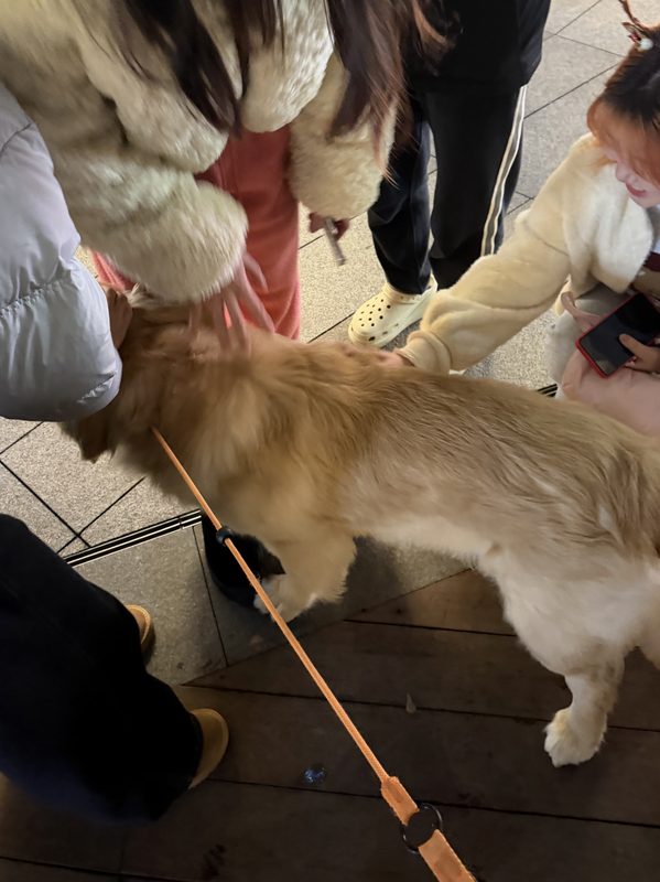 贝贝