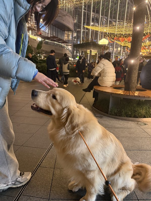 贝贝