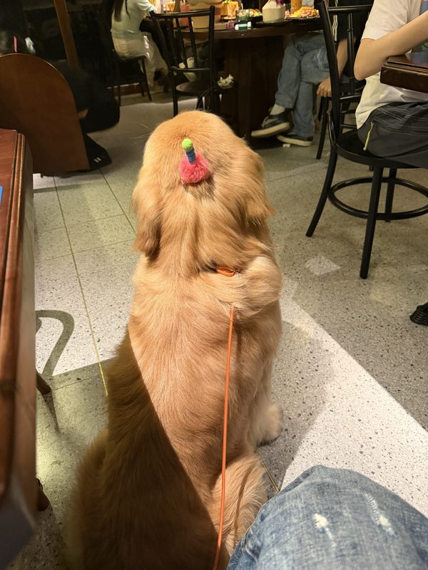 贝贝