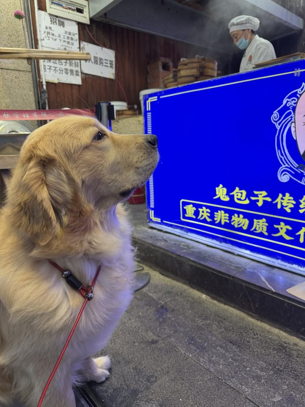 贝贝