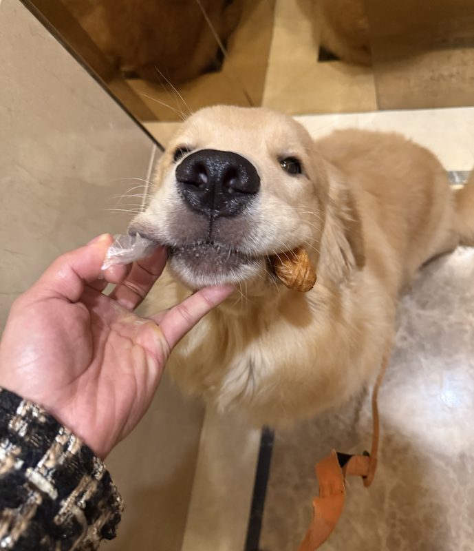贝贝