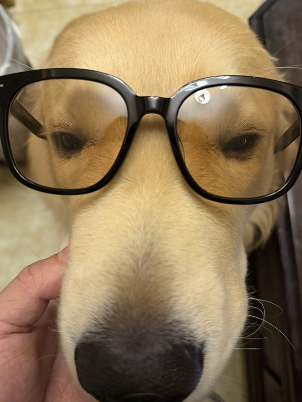 贝贝