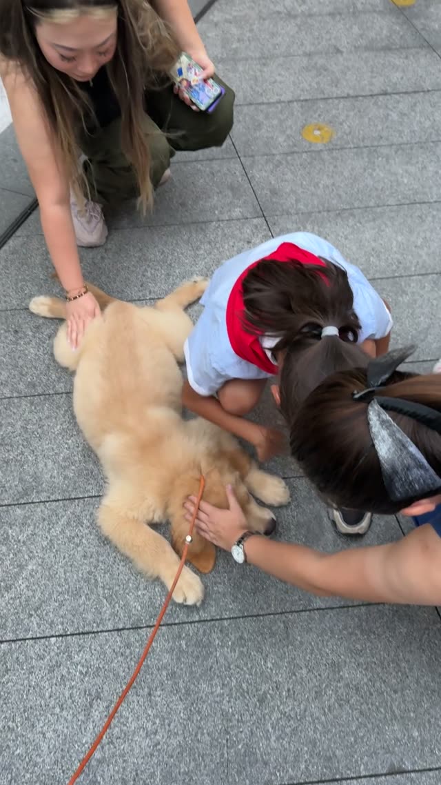 贝贝