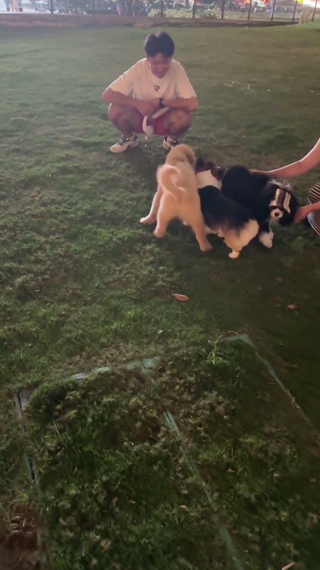 贝贝