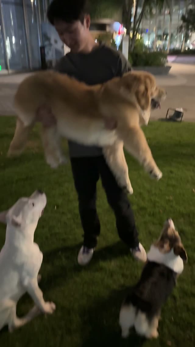 贝贝