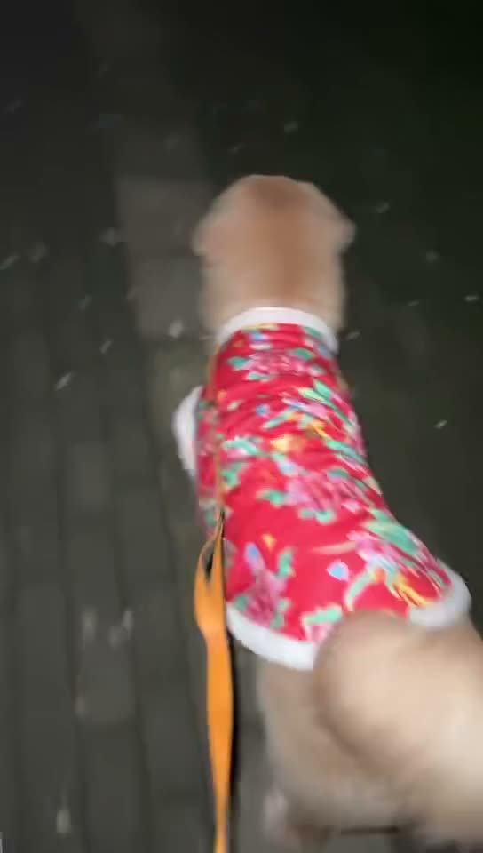 贝贝