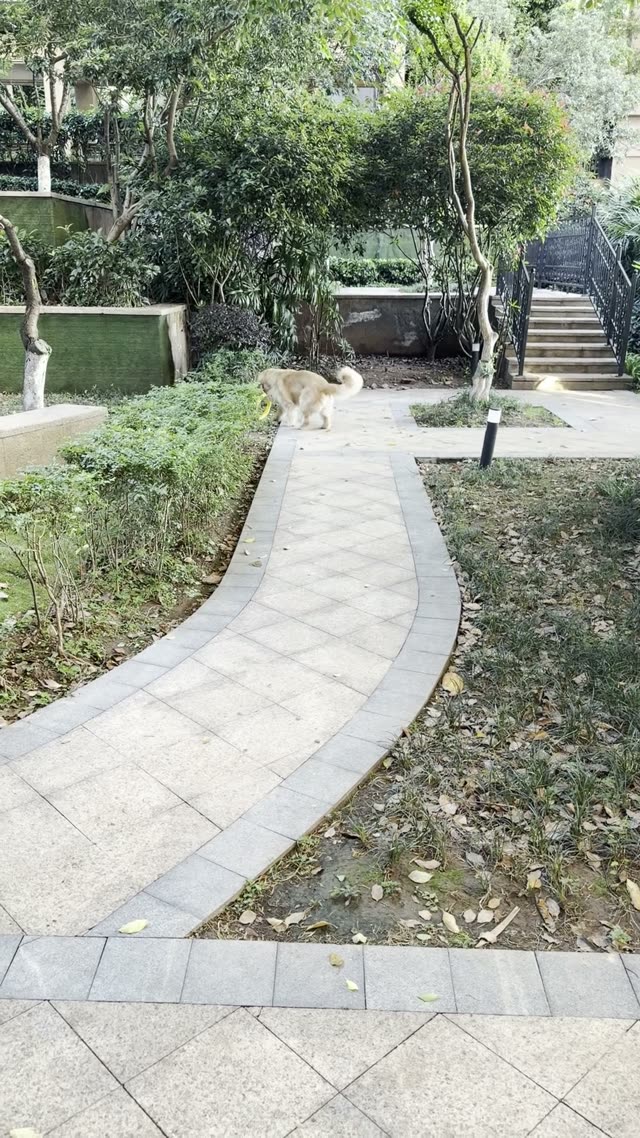 贝贝