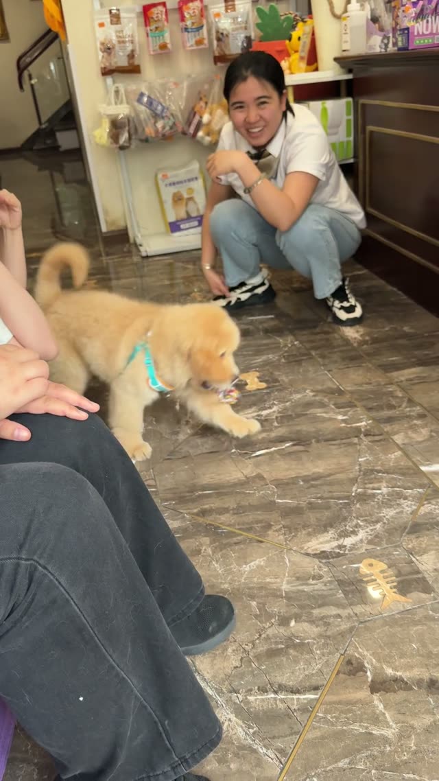 贝贝